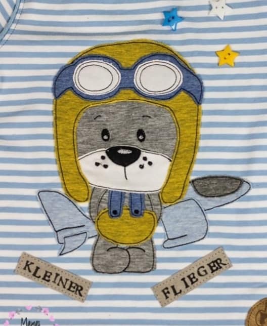 Orso pilota